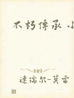 不朽传承 小说封面