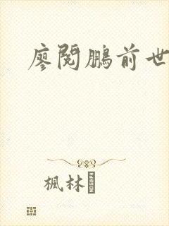 廖阅鹏前世今生封面