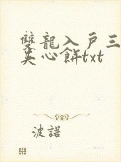 双龙入户三人行夹心饼txt