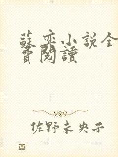 苏奕小说全文免费阅读封面