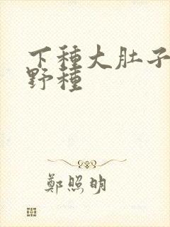 下种大肚子怀孕野种封面