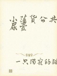 小荡货公共精厕尿壶封面