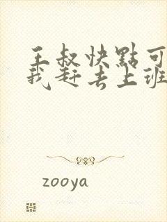 王叔快点可以吗我赶去上班