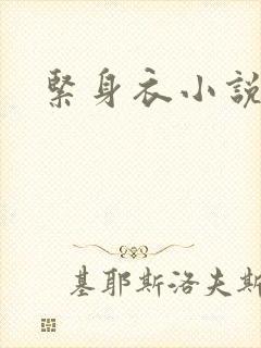 紧身衣小说封面