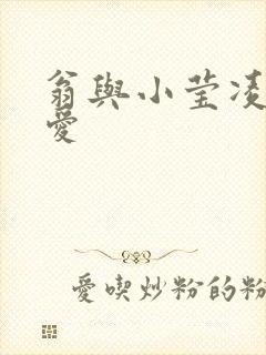 翁与小莹凌晨欢爱