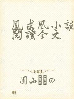 凤求凰小说免费阅读全文