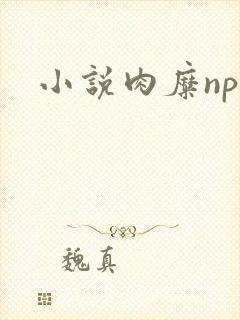 小说肉糜np