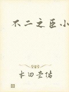 不二之臣小说