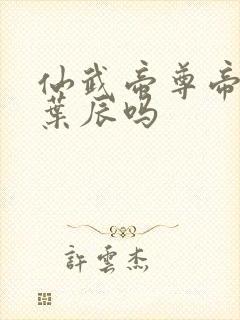 仙武帝尊帝荒是叶辰吗封面