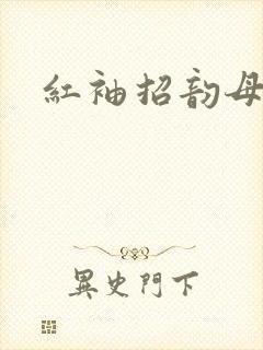 红袖招韵母攻略封面