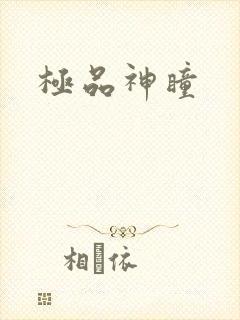 极品神瞳封面
