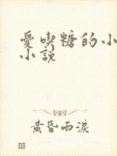 爱吃糖的小麻雀小说封面