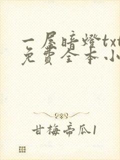 一屋暗灯txt免费全本小说电子书