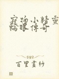 宠物小精灵之写轮眼传奇封面