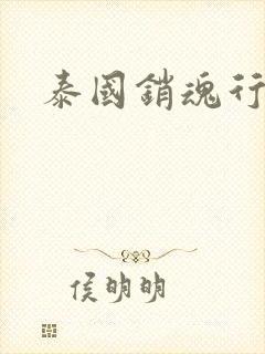 泰国销魂行封面