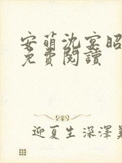 安萌沈宴昭小说免费阅读封面