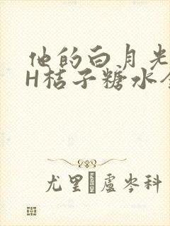 他的白月光HVH桔子糖水全文封面