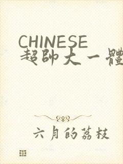 CHINESE超帅大一体育系精牛