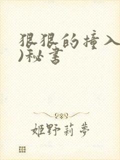 狠狠的撞入(h)秘书封面