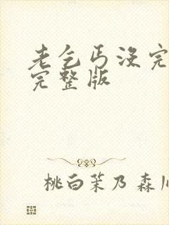 老乞丐没完没了完整版