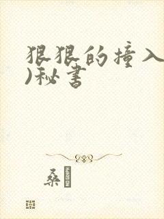 狠狠的撞入(h)秘书