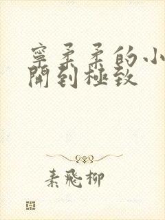 宁柔柔的小泬撑开到极致