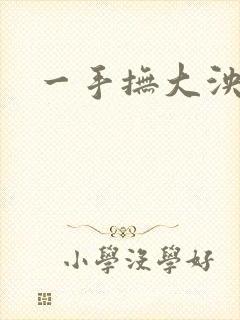 一手抚大泱暖封面
