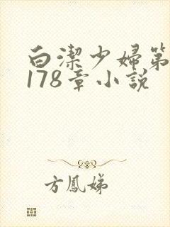 白洁少妇第1一178章小说封面