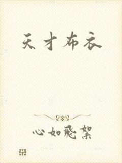 天才布衣封面