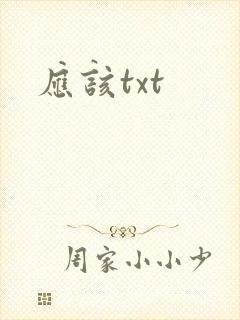 应该txt
