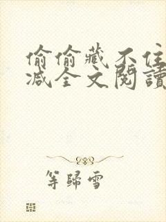 偷偷藏不住无删减全文阅读免费封面