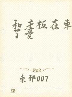 和老板在车里做了爱封面