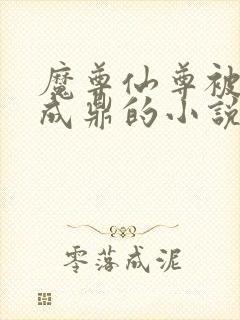 魔尊仙尊被催眠成鼎的小说