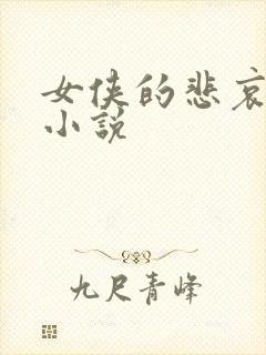 女侠的悲哀续集小说封面