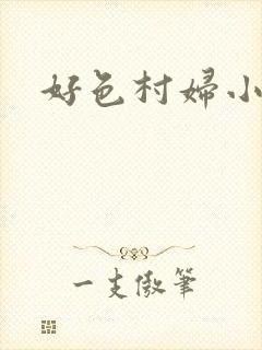 好色村妇小银贼封面