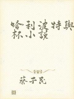 哈利波特与火焰杯小说