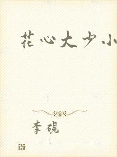 花心大少小说