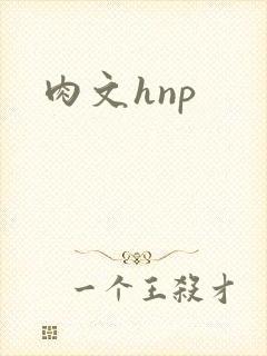肉文hnp