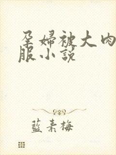 孕妇被大肉楱征服小说封面