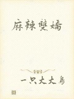 麻辣双娇