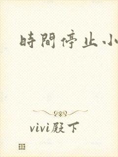 时间停止小说