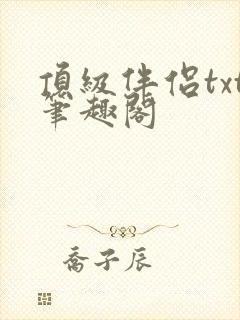 顶级伴侣txt笔趣阁