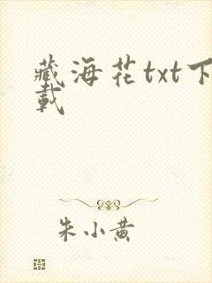藏海花txt下载
