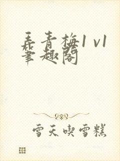 弄青梅1 v1笔趣阁