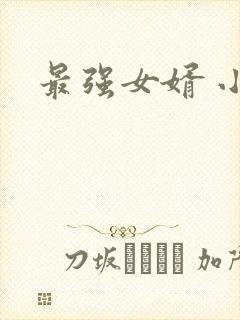 最强女婿 小说