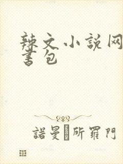 辣文小说网第二书包