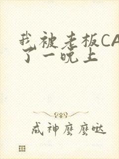 我被老板CAO了一晚上