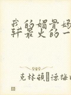 我的媚骨妈妈林轩最火的一句