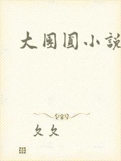 大团圆小说封面