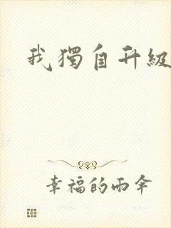 我独自升级小说